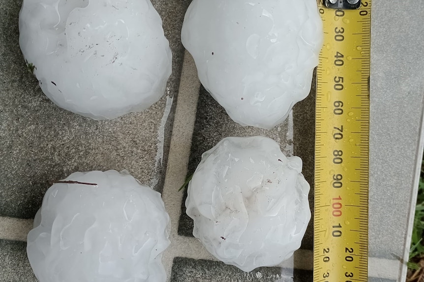 Four large hail stones with measuring tape next to them.