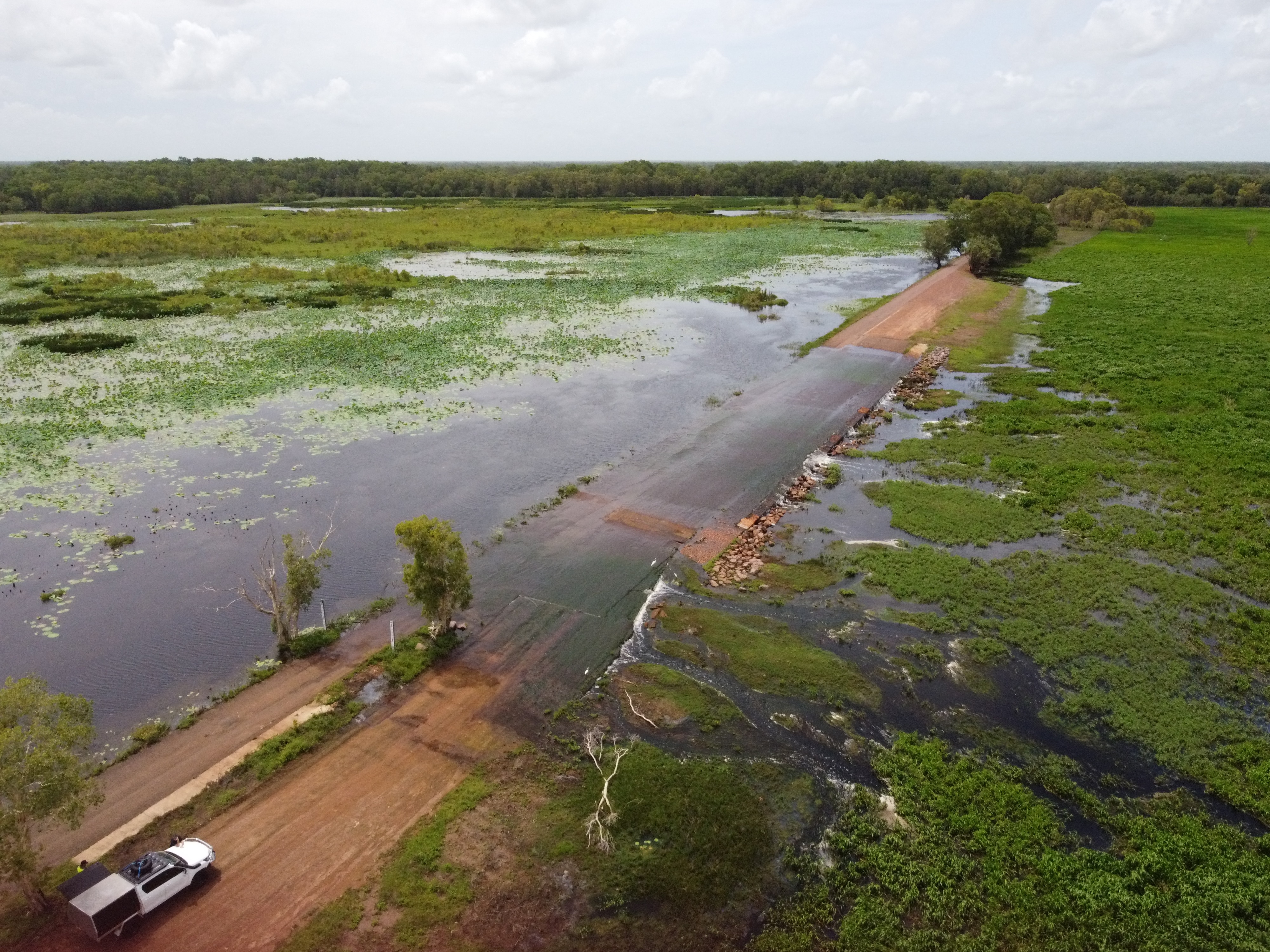 Top End dams overflow as parks come to life in the wake of Cyclone Fina