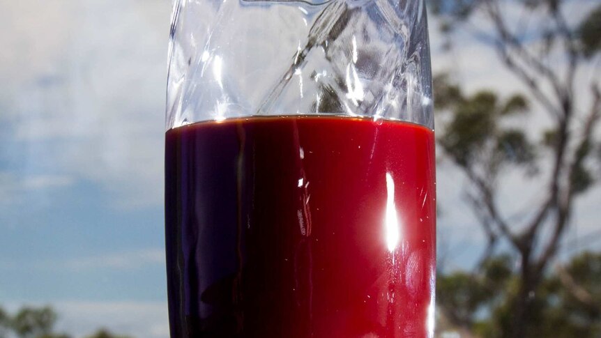 A glass of beetroot juice sits on the floor in front of a window.