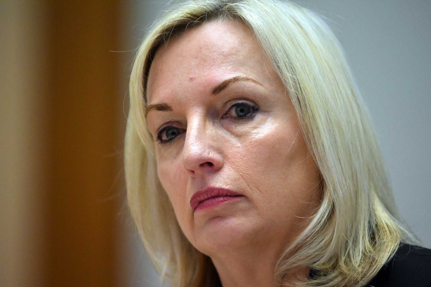 Australia Post CEO Christine Holgate appears before a Senate estimates hearing.