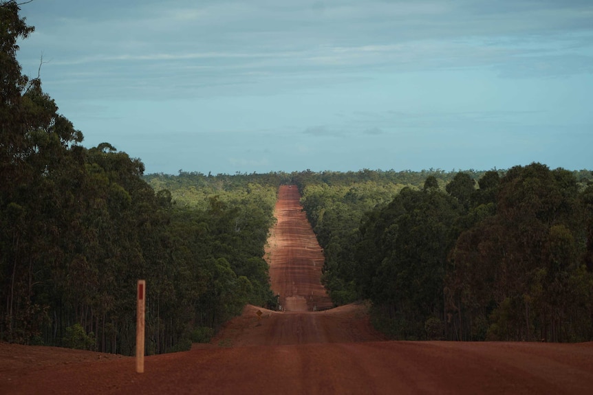 The sun shines down through a break in the clouds on a red dirt road that cuts through the bush.