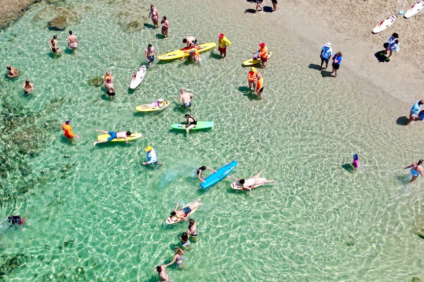 A bird's eye view of several people paddling surfboards in shallow clear water at a beach