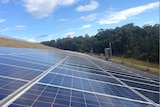 Solar panels in a long row.