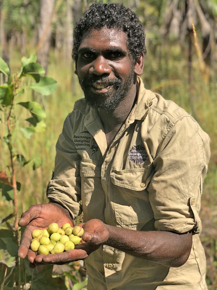 An Aboriginal man with a handful of Kakadu plums smiles at the camera.