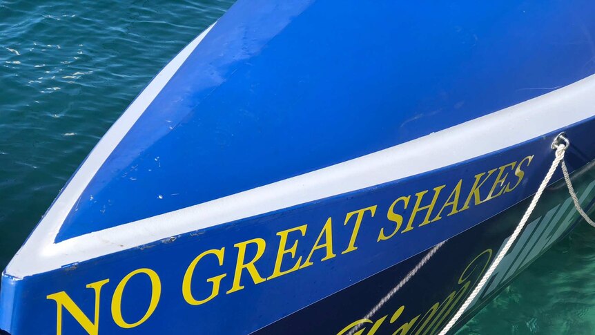 Picture of the logo on the rowing boat.