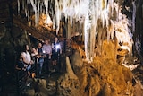A small group of people in a cave lit by warm lights 