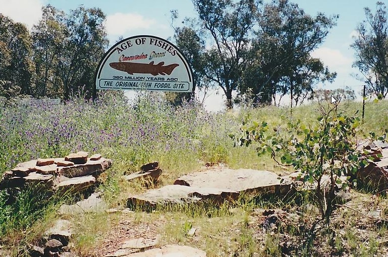 Original fish fossil discovery sign.