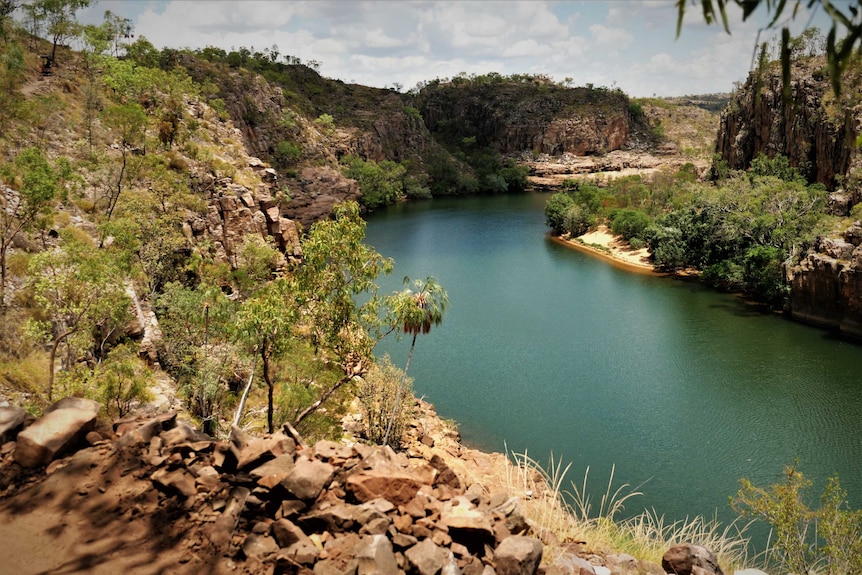 View through trees from high up the side of a dramatic gorge with a river below.