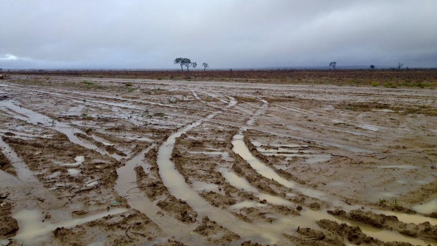 Rainy weather north-east of Longreach.