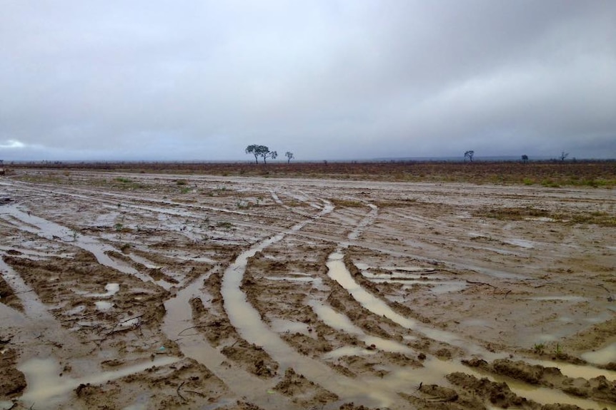 Rainy weather north-east of Longreach.