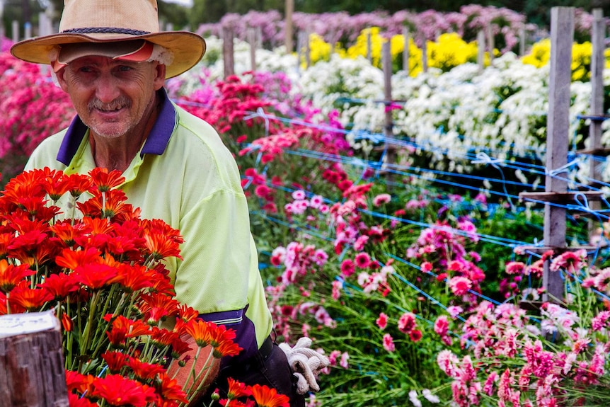 Mans stands in field of colourful flowers.