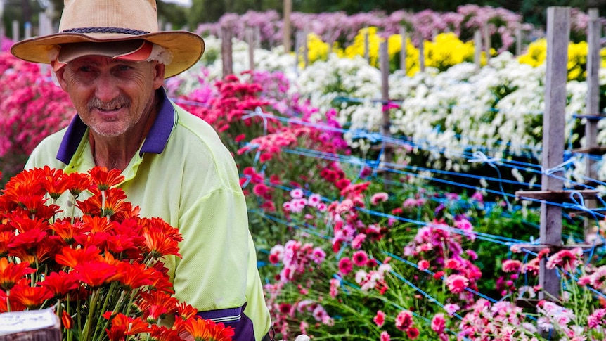 Mans stands in field of colourful flowers.