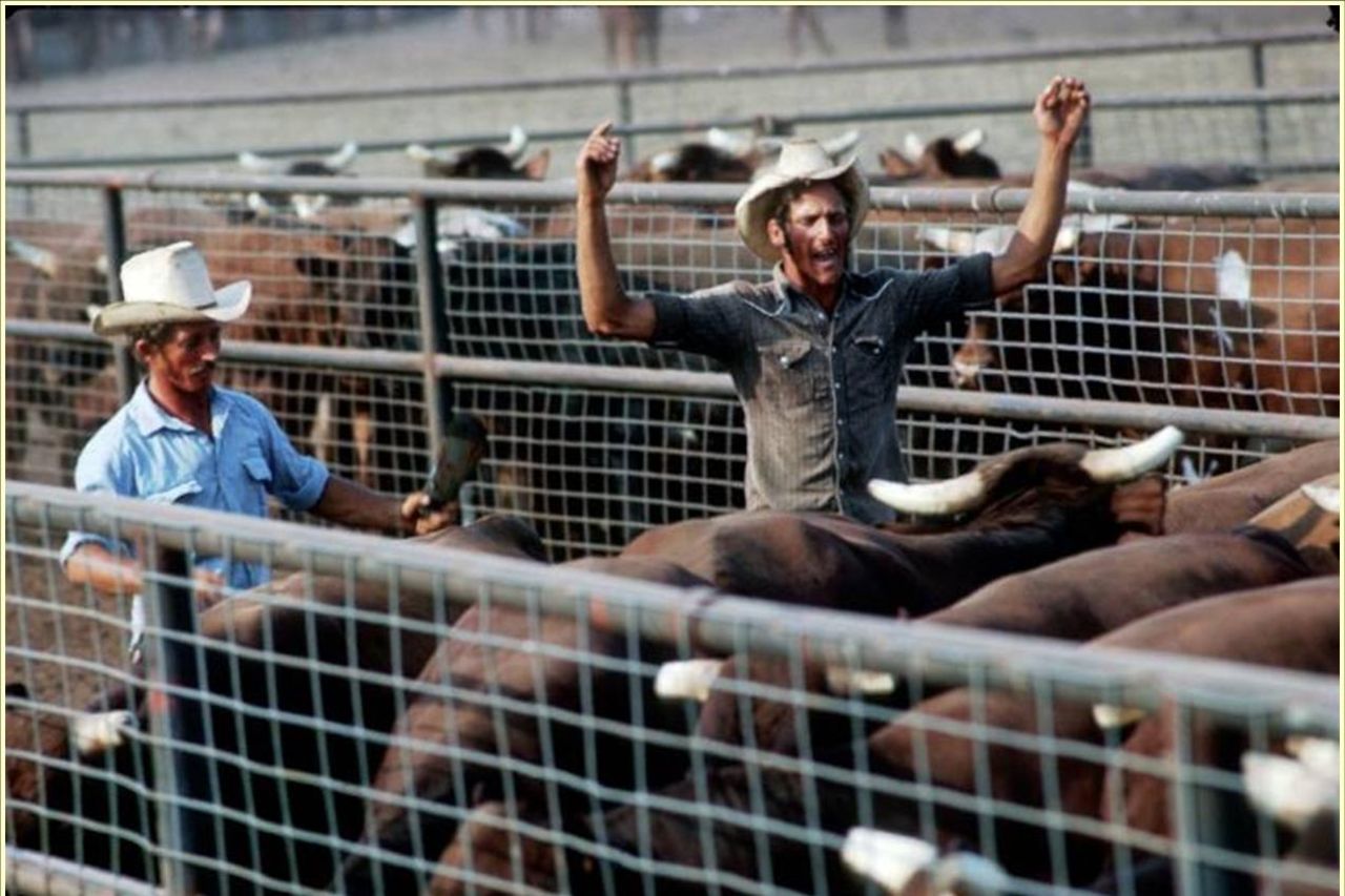 'An unbelievable inspiration' Tributes flow for Kimberley agricultural