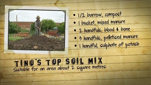 The Patch - Tino's Top Soil Mix - Gardening Australia