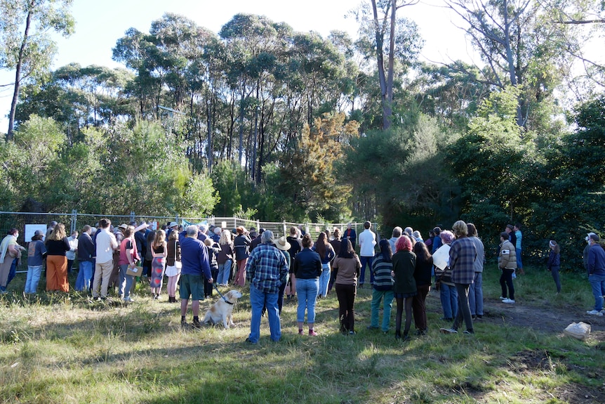 group of people stading with their back to camera in bush land listening to speaker