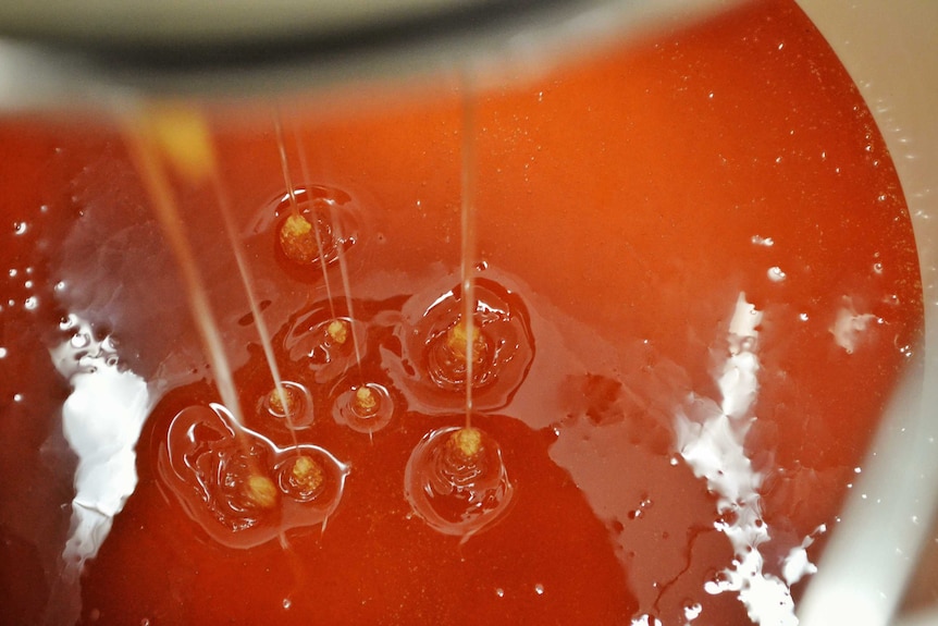 The honey drips through a sieve into a bucket. It's a bright orange colour.