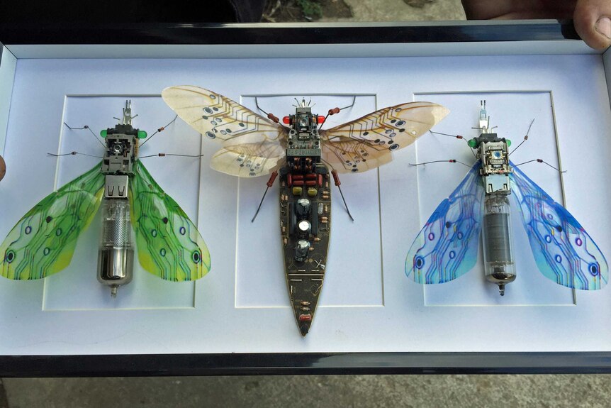 Mounted recycled bugs