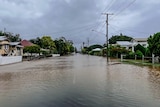 Houses in flooded Laidley street after heavy rain, flooded street houses either side