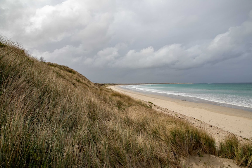 Sand dunes by the sea.