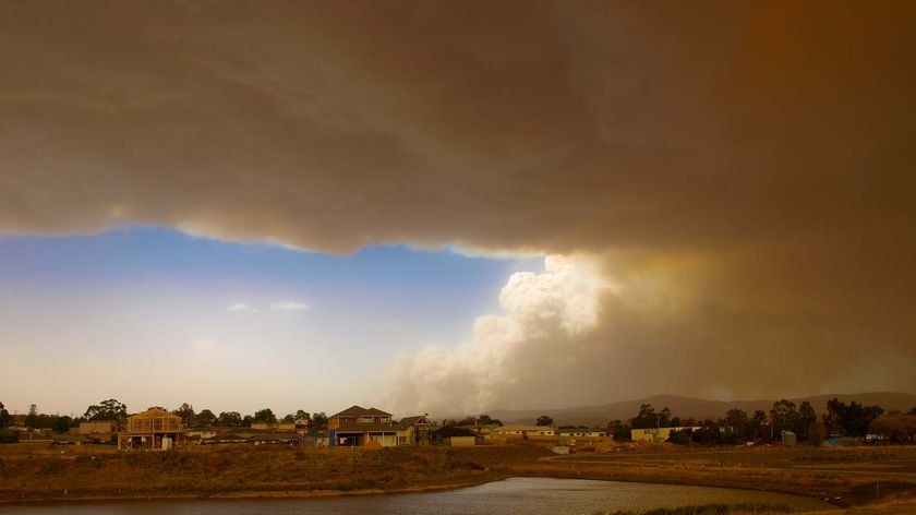 Bushfire disaster: Professor Paton says levels of preparedness to deal with bushfires within at-risk communities in Australia are generally low.