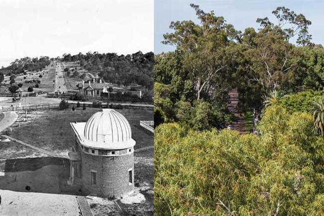 View down Fraser Avenue into Kings Park from the Observatory house tower, 1899 and 2015.