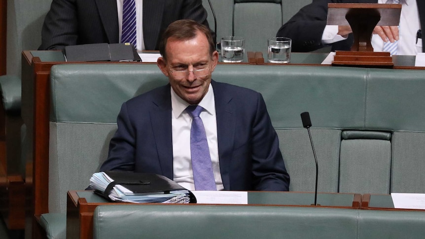 Tony Abbott smiles on the backbench. He is wearing rimless glasses and a purple tie.