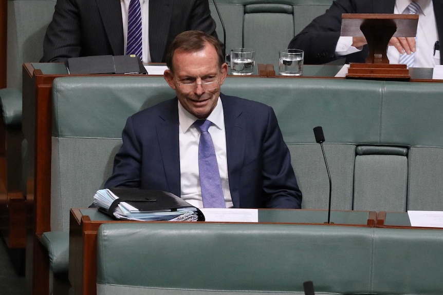Tony Abbott smiles on the backbench. He is wearing rimless glasses and a purple tie.