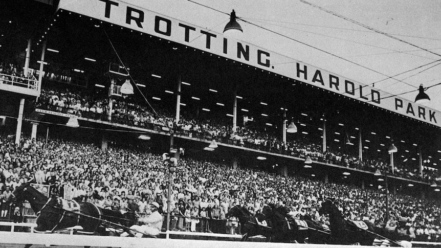 The crowd at Harold Park Paceway in Sydney watch a race in 1973. (Supplied)