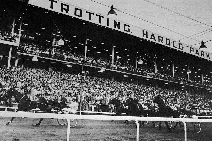 The crowd at Harold Park Paceway in Sydney watch a race in 1973. (Supplied)