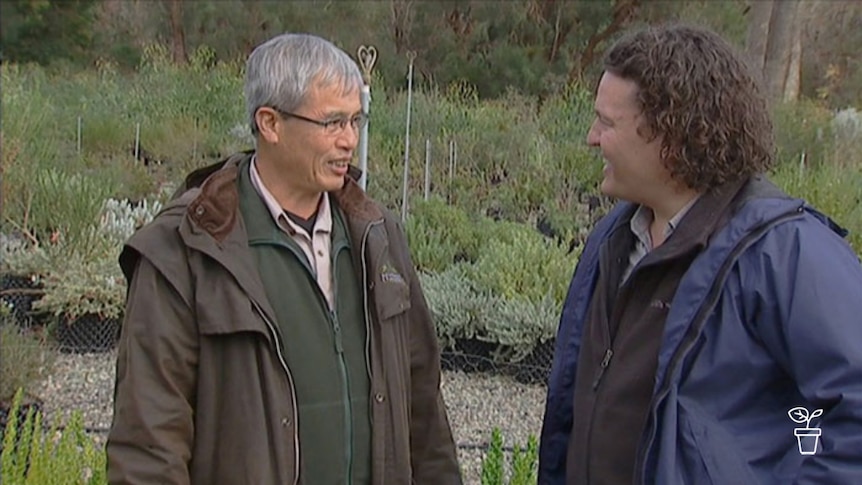 Two men standing in an outdoor nursery smiling at each other