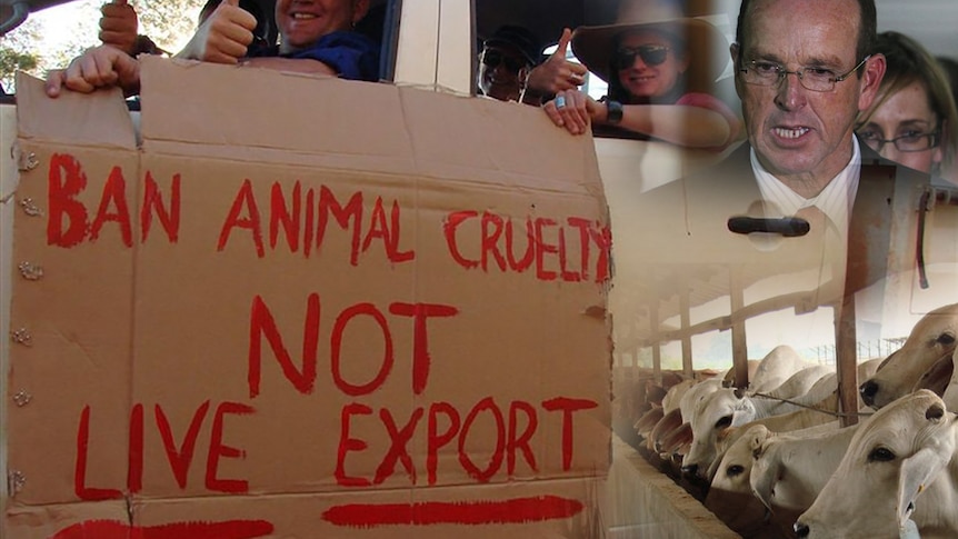 Collage of images from the live export ban in 2011