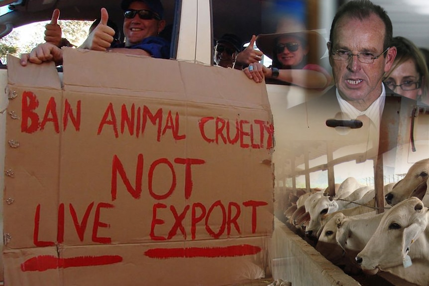 Collage of images from the live export ban in 2011