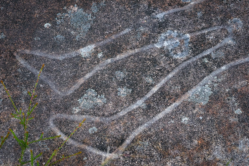 A rock carving of legs.