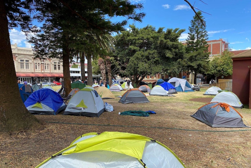 Tents dotted around trees in a park.