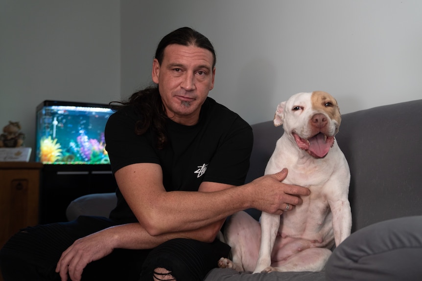 A man in black tshirt with ponytail pats a pittbull