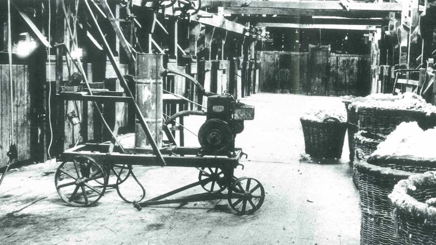 A black and white photo of wooden catching pens, shearing stands and wool bins inside the historic Toganmain woolshed.
