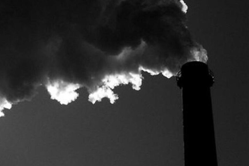 The Carbon War