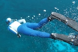 A person in a wetsuit diving down with bubbles trailing behind them