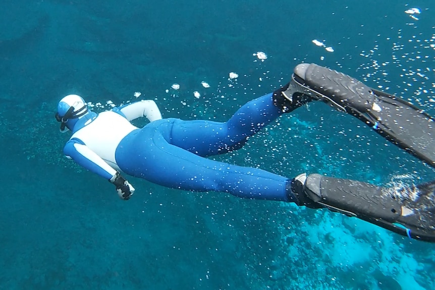 A person in a wetsuit diving down with bubbles trailing behind them