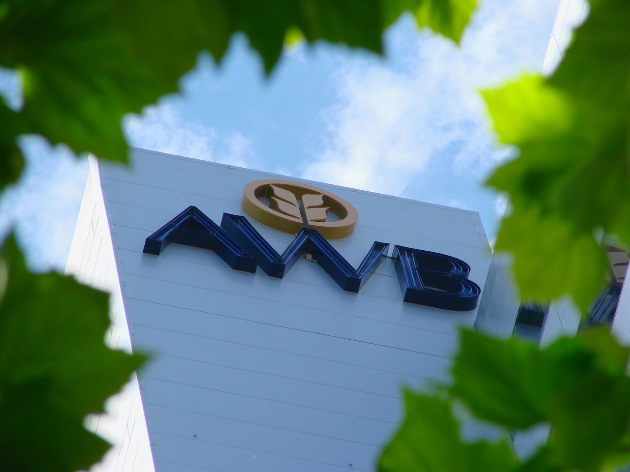 AWB, GrainCorp and the grain bin of history - ABC News