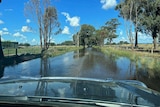 A flood impacted road viewed from inside a car