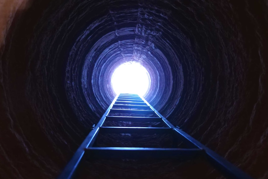 A ladder is stretching up through a dark hole to the open air sky.