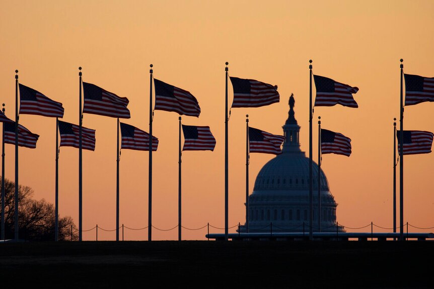 A line of flags at dawn in front of the US Capitol building.