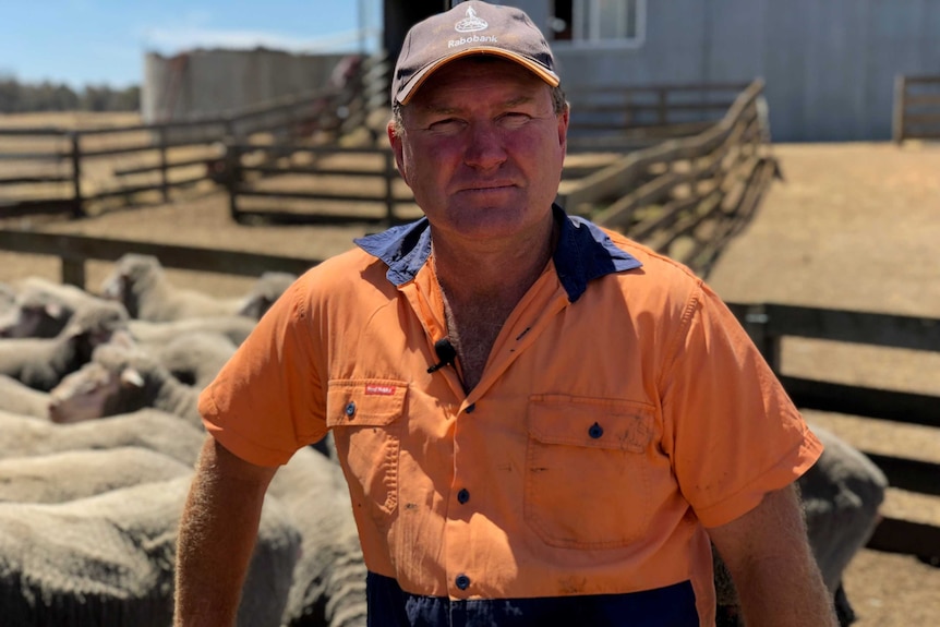 Kojonup farmer Steve McGuire welcomes live export moratorium