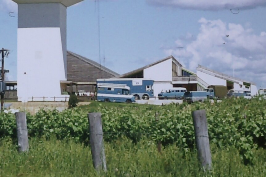Blue broadcast trucks parked near rows of vines and under a large tower-like restaurant.
