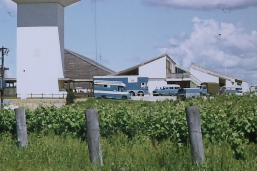 Blue broadcast trucks parked near rows of vines and under a large tower-like restaurant.