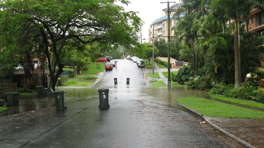 St Lucia resident Robert Thomson took this photo of floodwaters starting to invade Sandford Street.