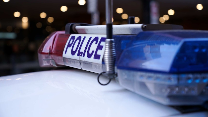 The blue and red lights of a police car in Adelaide.