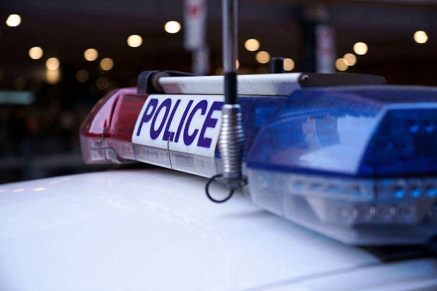 The blue and red lights of a police car in Adelaide.