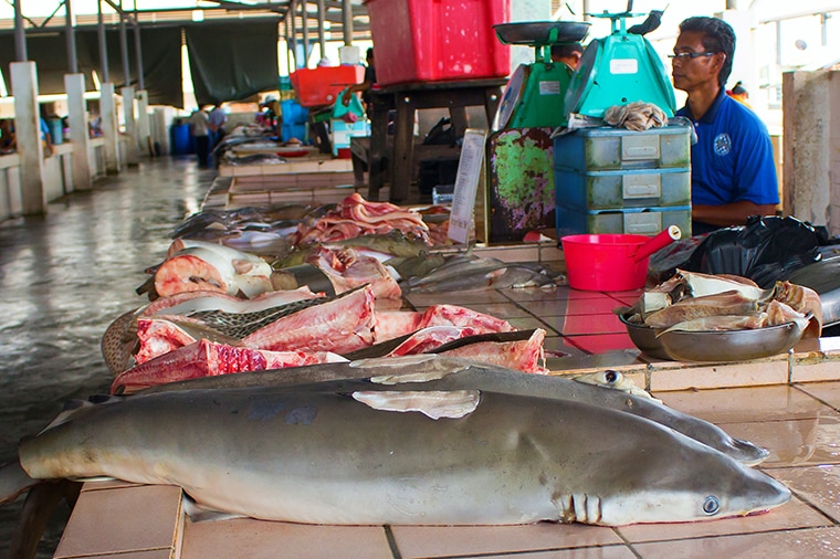 De-finned shark on sale at a fish market, Kota Kinabalu, Malaysia.